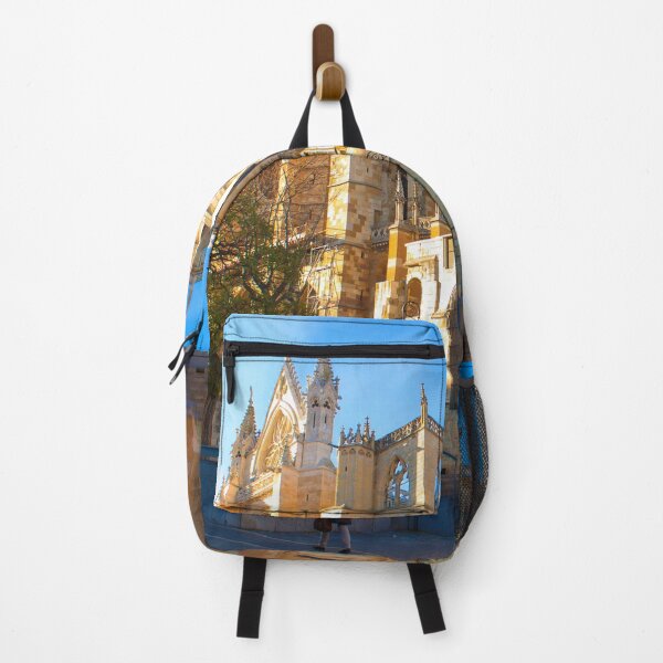 Item preview, Léon Cathedral designed and sold by Tereza Pilar Art.
