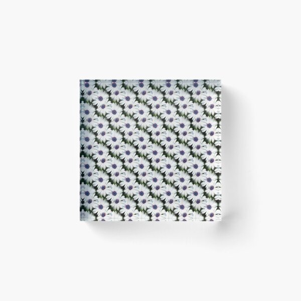 Item preview, Pristine White African Daisies Seamless Pattern designed and sold by taiche.
