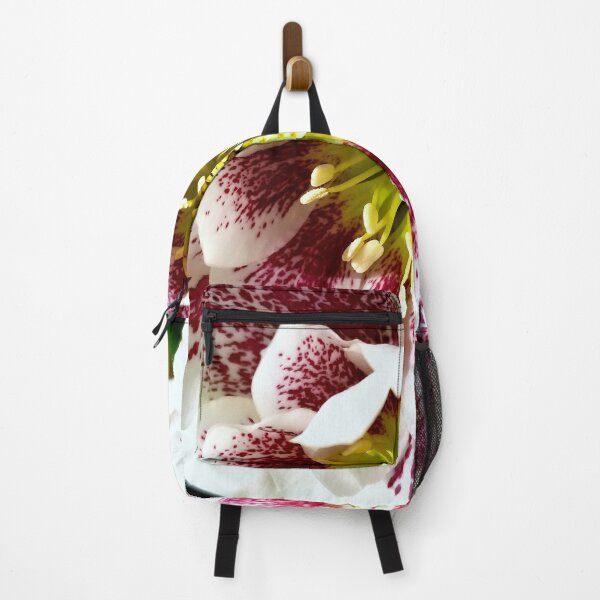 Item preview, Helleborus Wedding Party 'Confetti Cake' designed and sold by bjtomiko.