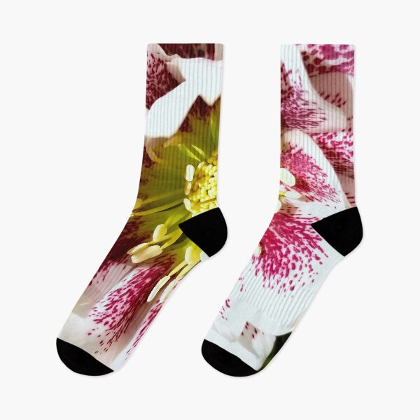 Item preview, Helleborus Wedding Party 'Confetti Cake' designed and sold by bjtomiko.