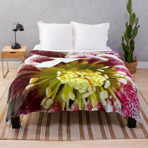 Item preview, Helleborus Wedding Party 'Confetti Cake' designed and sold by bjtomiko.