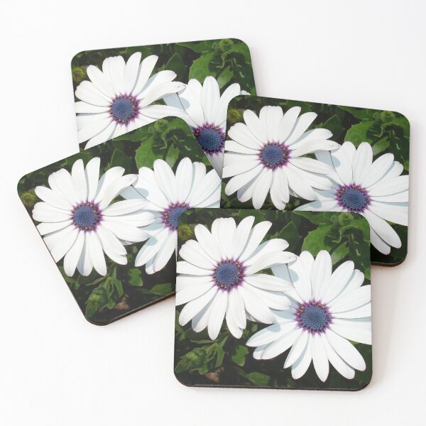 Item preview, A Pair of Pristine White African Daisies designed and sold by taiche.