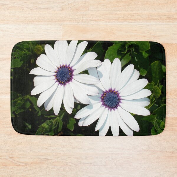 Item preview, A Pair of Pristine White African Daisies designed and sold by taiche.