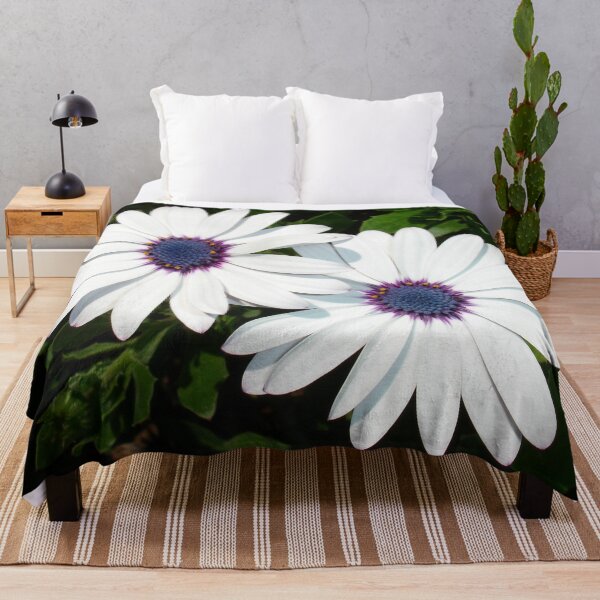 Item preview, A Pair of Pristine White African Daisies designed and sold by taiche.