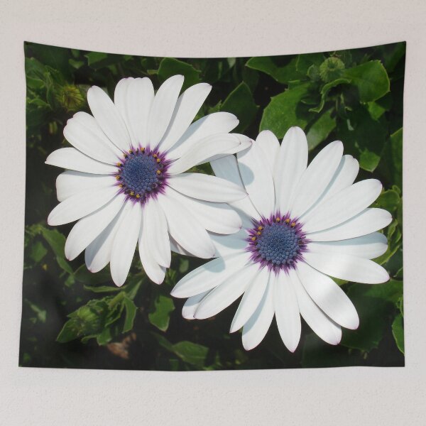 Item preview, A Pair of Pristine White African Daisies designed and sold by taiche.