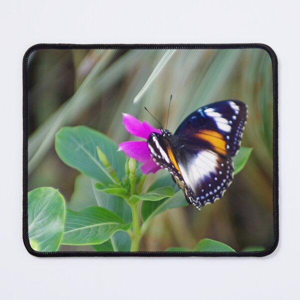 Item preview, Varied Eggfly Female Butterfly designed and sold by Kerryn Madsen-Pietsch.
