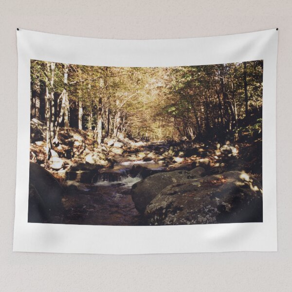 Item preview, Woodland Stream min the Fall designed and sold by GAShields.