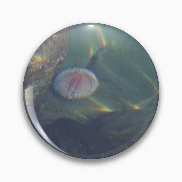 Item preview, Sea Urchin designed and sold by Norwegian Outdoors.