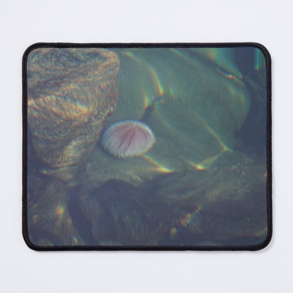 Item preview, Sea Urchin designed and sold by Norwegian Outdoors.