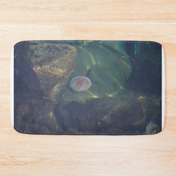 Item preview, Sea Urchin designed and sold by Norwegian Outdoors.