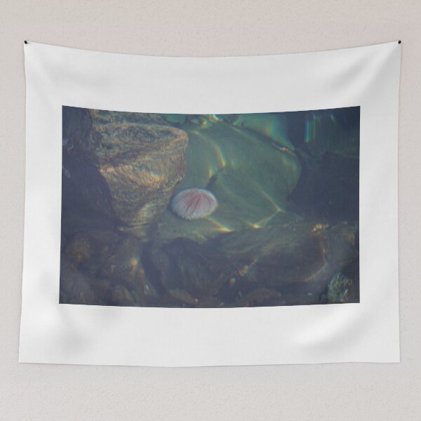 Item preview, Sea Urchin designed and sold by Norwegian Outdoors.