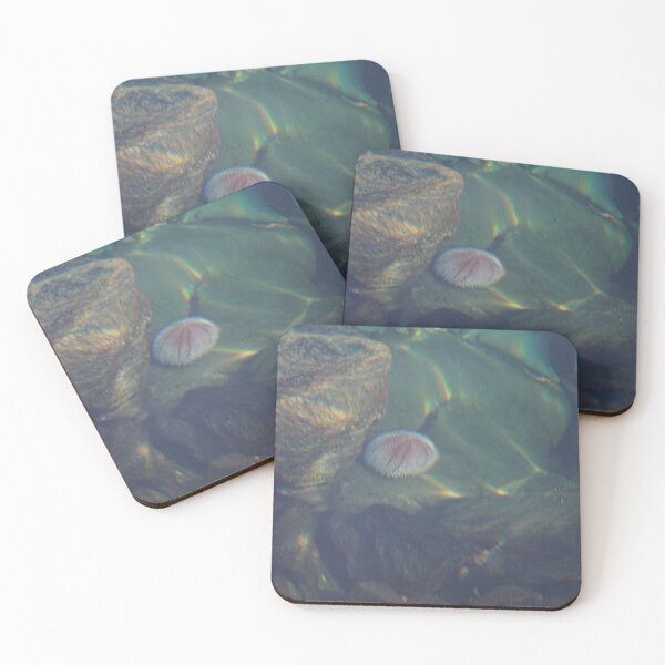 Item preview, Sea Urchin designed and sold by Norwegian Outdoors.
