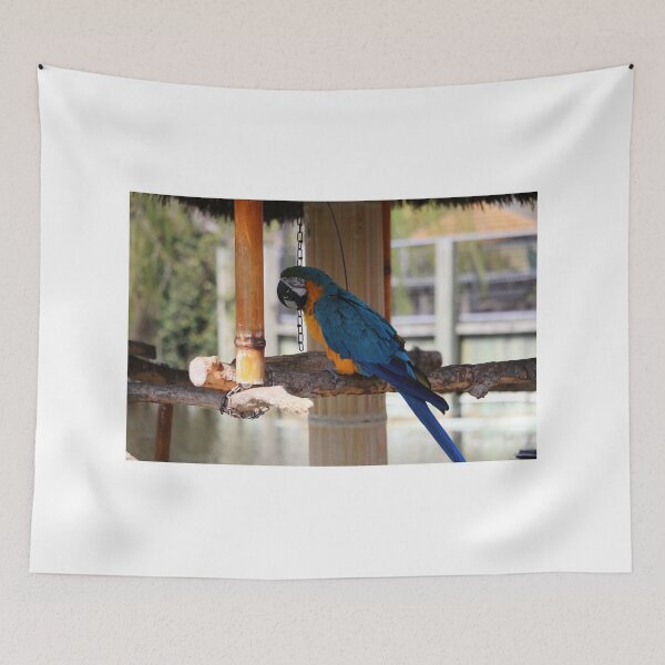 Item preview, Perched Parrot designed and sold by Cynthia48.