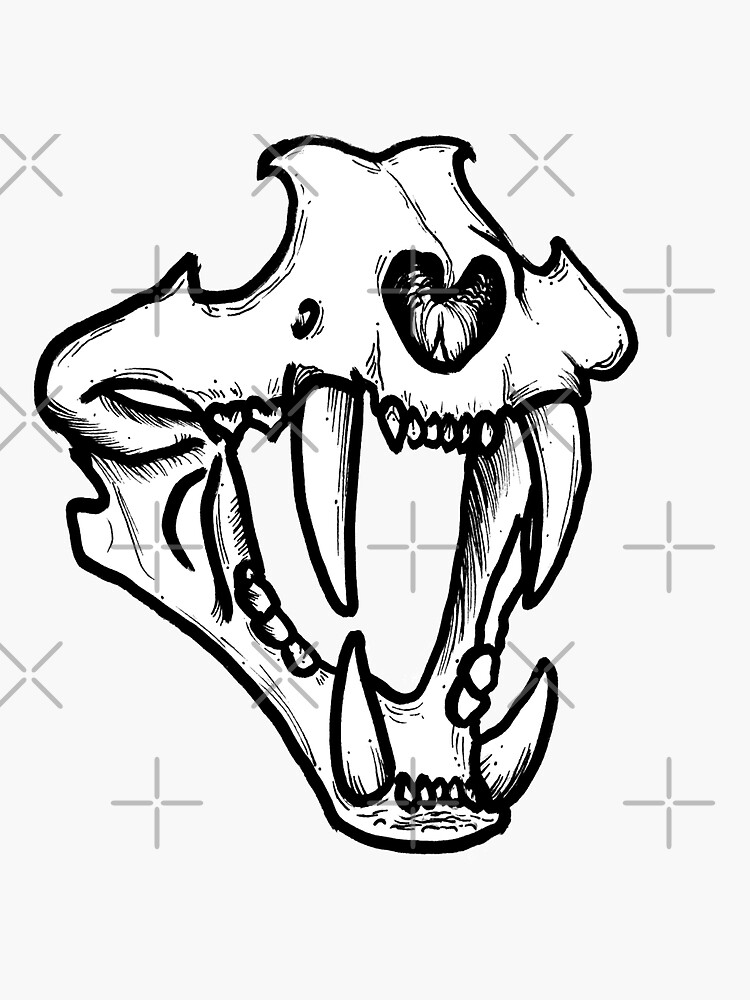 "Sabertooth Tiger Skull" Sticker by DaynaD Redbubble