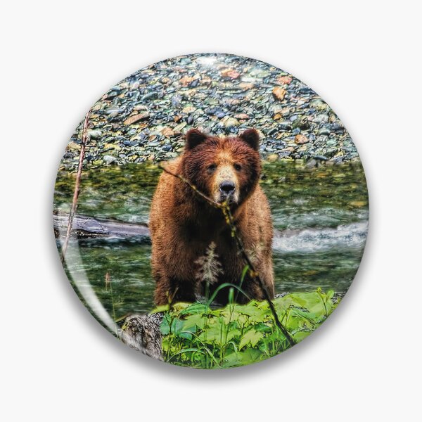 Artikelvorschau, Huch, das ist ein Bär entworfen und verkauft von Kay Brewer.