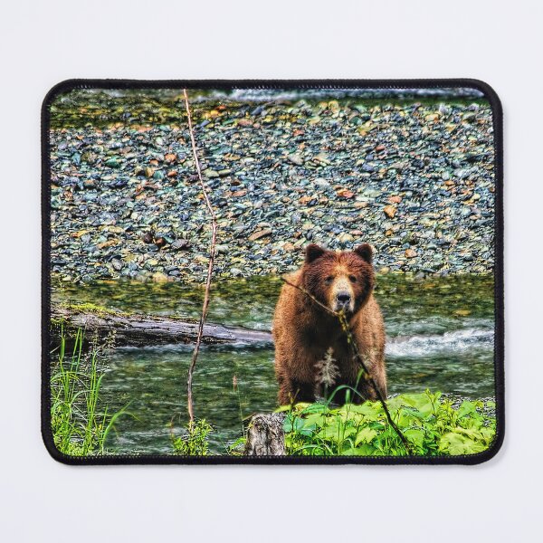 Item preview, Yikes, It’s a Bear designed and sold by Kay Brewer.