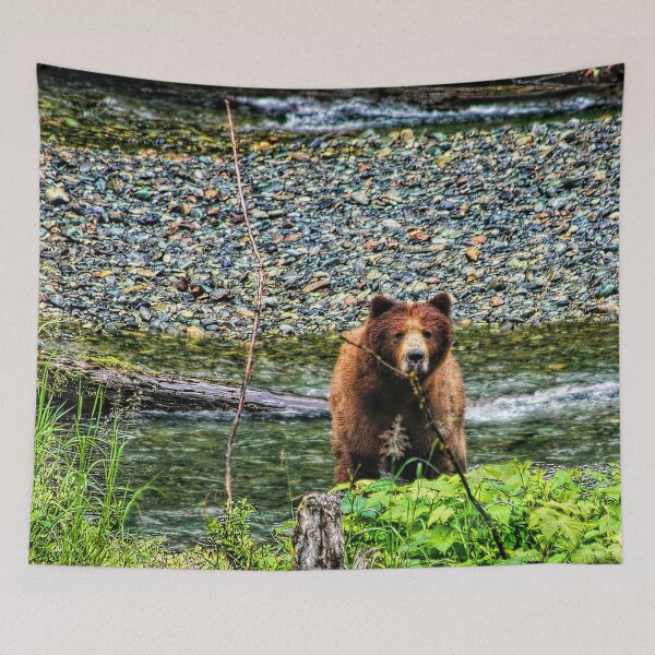 Item preview, Yikes, It’s a Bear designed and sold by Kay Brewer.
