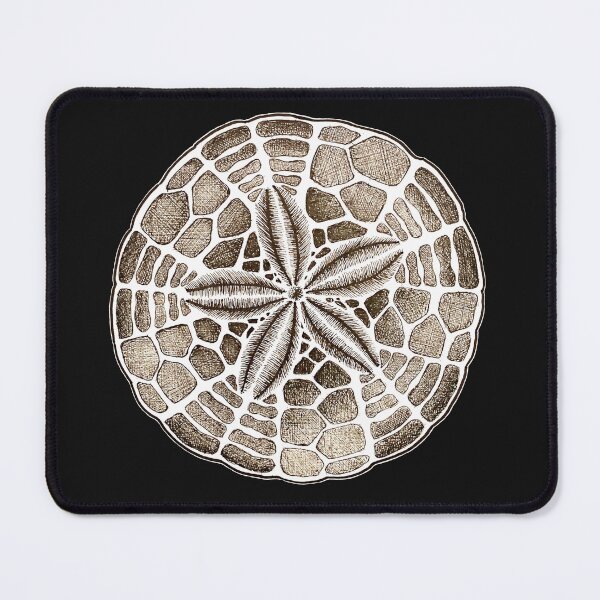 Item preview, Sand dollar designed and sold by HoneycombHeart.