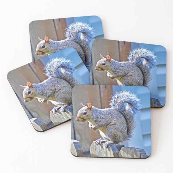 Item preview, "Squirrel Stalking #1"  designed and sold by MoonGPhotos.
