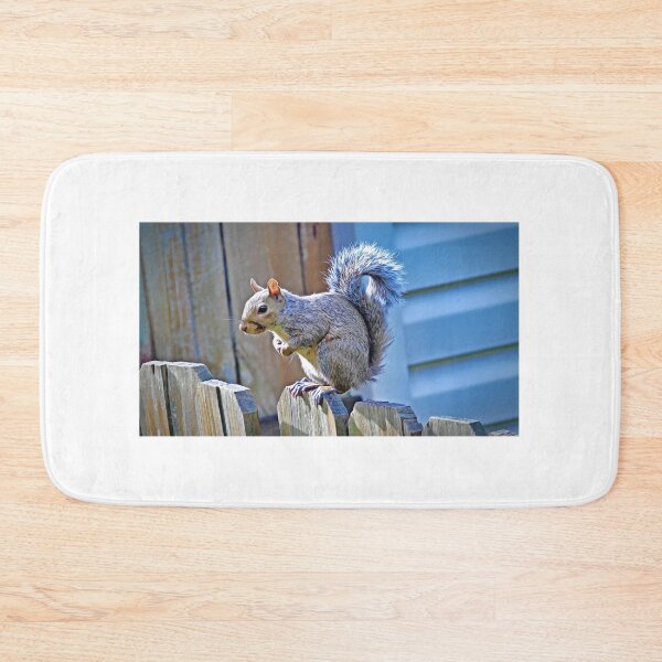 Item preview, "Squirrel Stalking #1"  designed and sold by MoonGPhotos.
