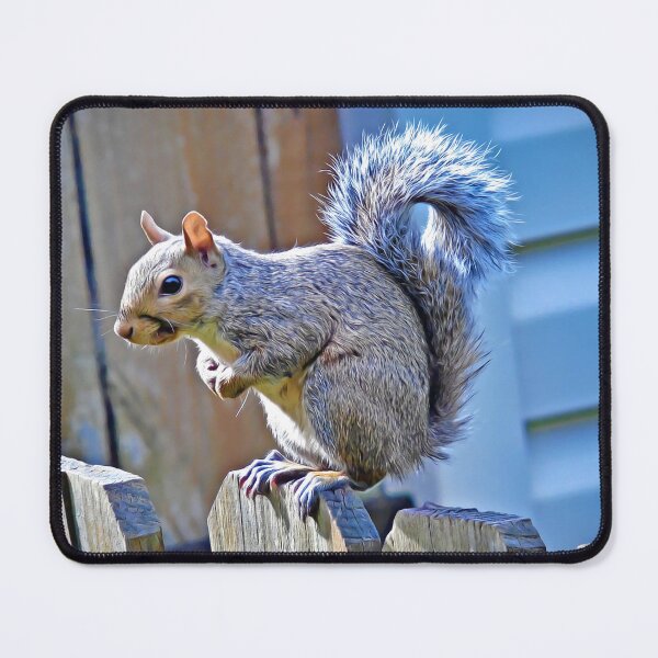 Item preview, "Squirrel Stalking #1" designed and sold by MoonGPhotos.