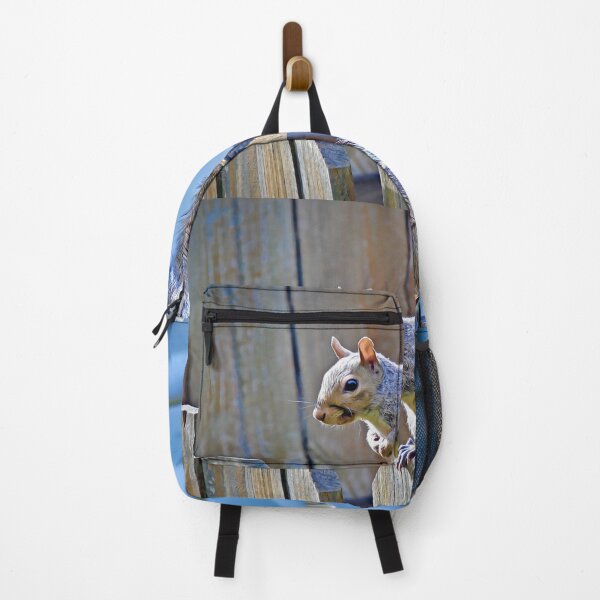 Item preview, "Squirrel Stalking #1"  designed and sold by MoonGPhotos.