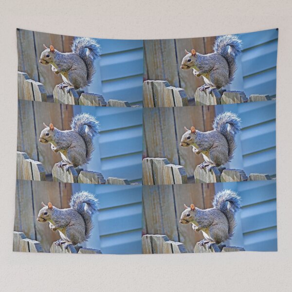 Item preview, "Squirrel Stalking #1"  designed and sold by MoonGPhotos.
