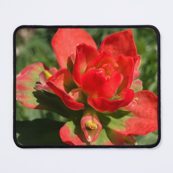 Item preview, Castilleja designed and sold by JennHolton.
