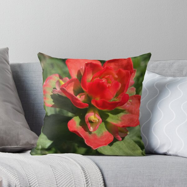 Item preview, Castilleja designed and sold by JennHolton.