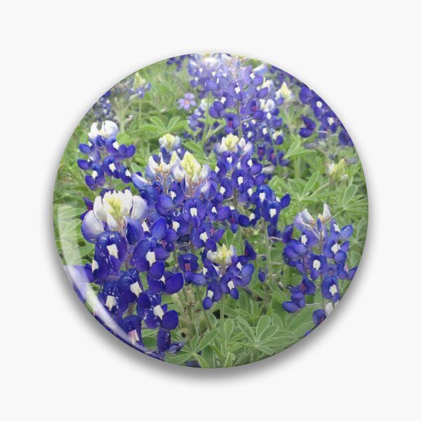 Item preview, Bluebonnets designed and sold by JennHolton.