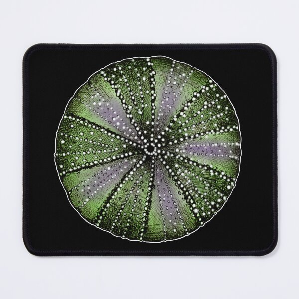 Item preview, Sea urchin too designed and sold by HoneycombHeart.