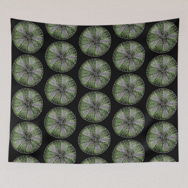 Item preview, Sea urchin too designed and sold by HoneycombHeart.