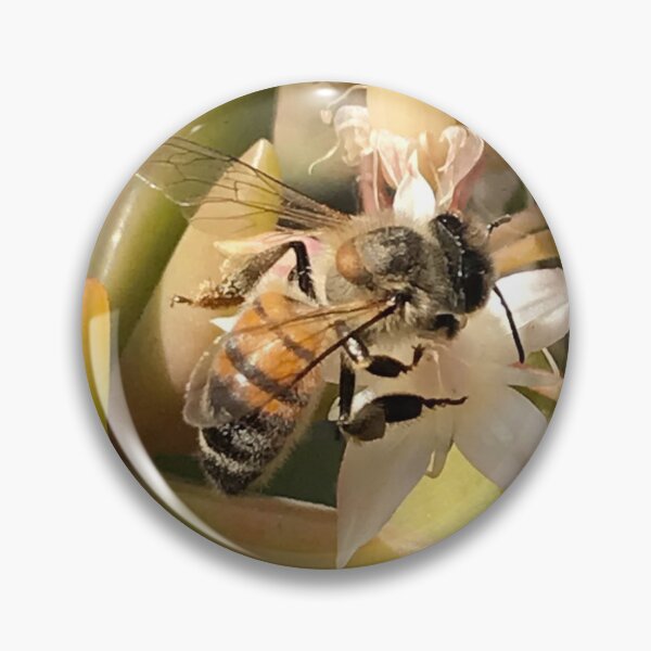Item preview, Honey Bee designed and sold by JennHolton.
