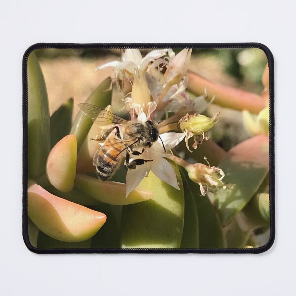 Item preview, Honey Bee designed and sold by JennHolton.