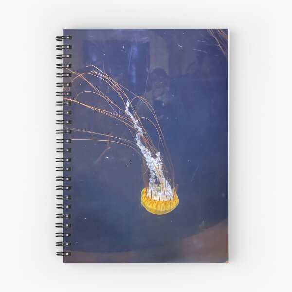Item preview, Jellyfish  designed and sold by Lilyypadd.