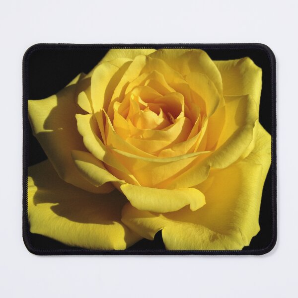 Item preview, Yellow Rose designed and sold by JennHolton.