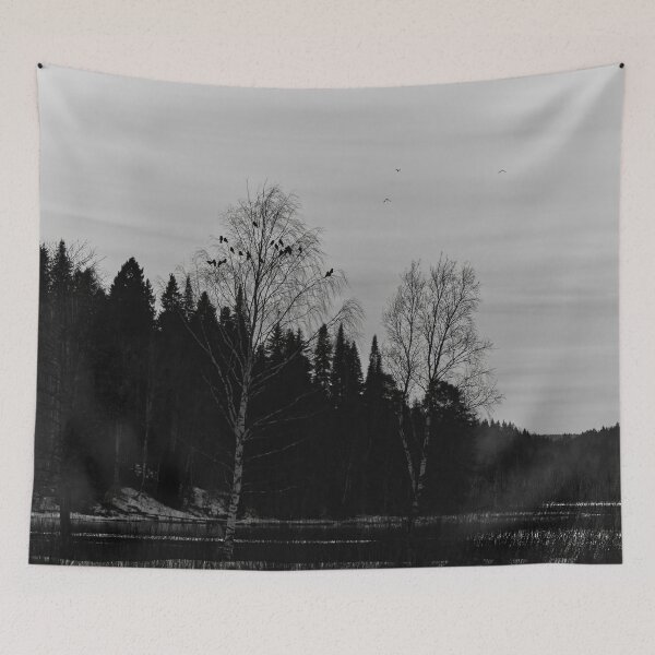 Item preview, Jackdaw sunset. Taivalkunta 24 bw designed and sold by Jouko Lehto Photography.