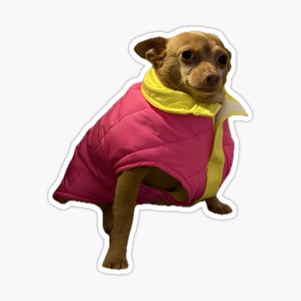 Drippy Mouse" Sticker for Sale by Cheddariniii | Redbubble