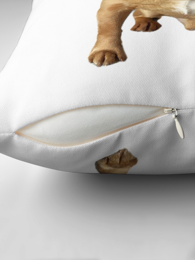 Thumbnail 2 of 4, Pillow, Mighty Mouse designed and sold by Cheddariniii.