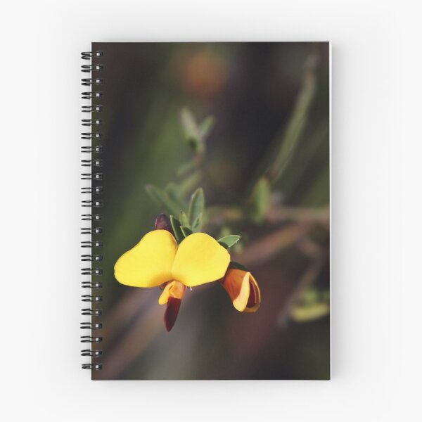 Artikelvorschau, Butterfly Flower entworfen und verkauft von Ray Fowler.