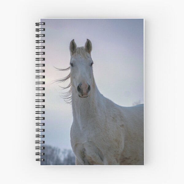 Item preview, Winter Horse designed and sold by Ink-Valkyrie.