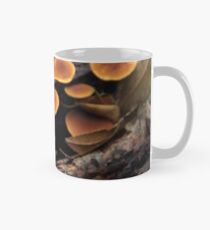 On the Forest Floor Mug