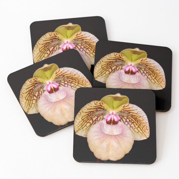 Item preview, Lady Slipper Orchid on Black Background  designed and sold by richardbryce.