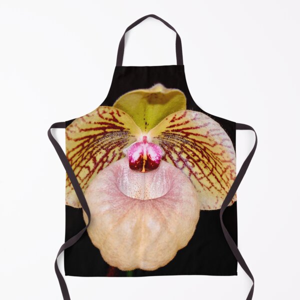 Item preview, Lady Slipper Orchid on Black Background designed and sold by richardbryce.