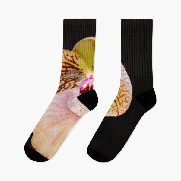 Item preview, Lady Slipper Orchid on Black Background  designed and sold by richardbryce.