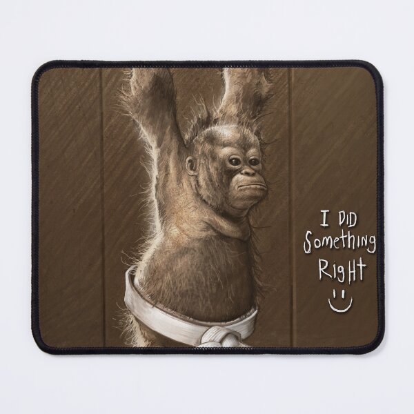 Item preview, I did something right  designed and sold by groundshark.