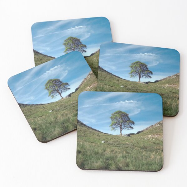 Item preview, The Sycamore Gap tree designed and sold by Tom McPherson Photography.