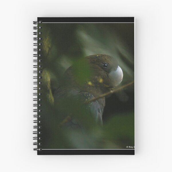 Item preview, Hidden designed and sold by Ray Fowler.