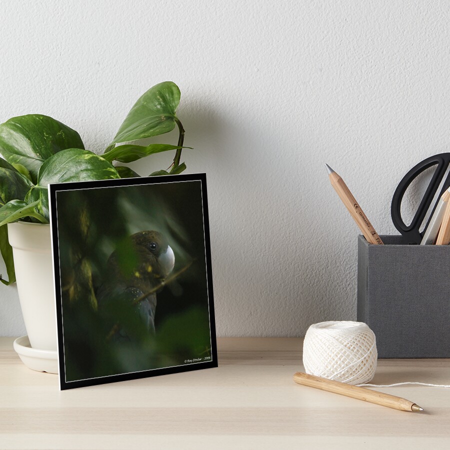 Item preview, Art Board Print designed and sold by Chook.