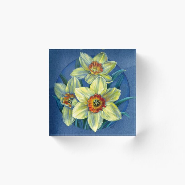 Item preview, Daffodils - the joys of spring  designed and sold by Sarah Trett.